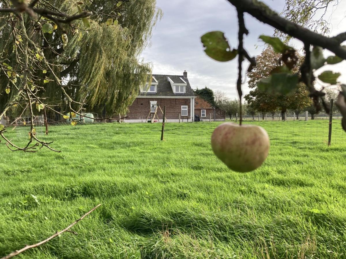 Landhuis 'De Ontspanning' Axel Eksteriør bilde